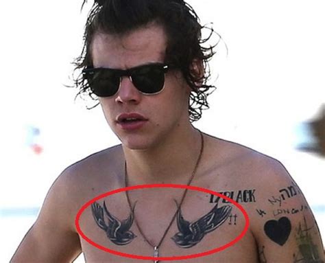 harry styles tattoos meaning